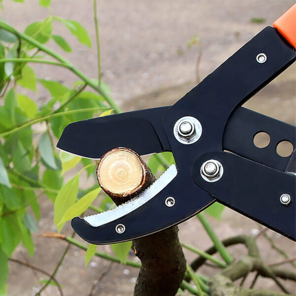 Long Pruning Shears JM-DL01 - Image 2