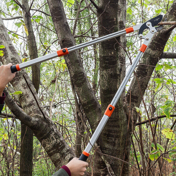 Long Pruning Shears JM-DL01 - Image 4