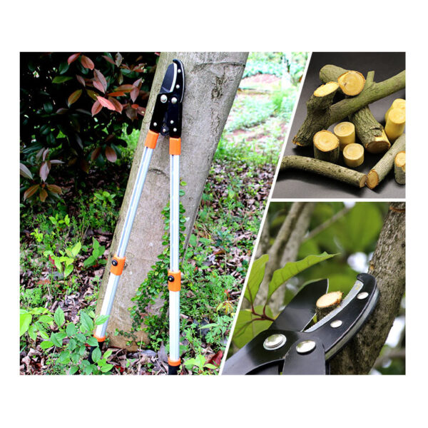 Long Pruning Shears JM-DL01 - Image 5